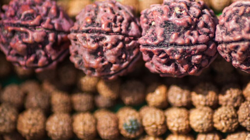 Rudraksha