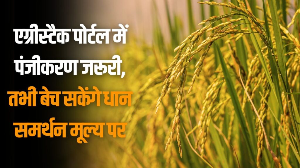 Agristack Farmer Registration Portal