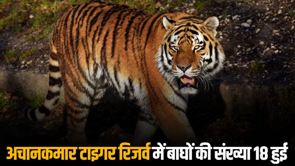 Achanakmar Tiger Reserve