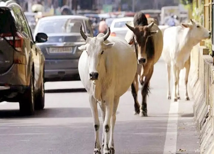 रायपुर में SOP लागू