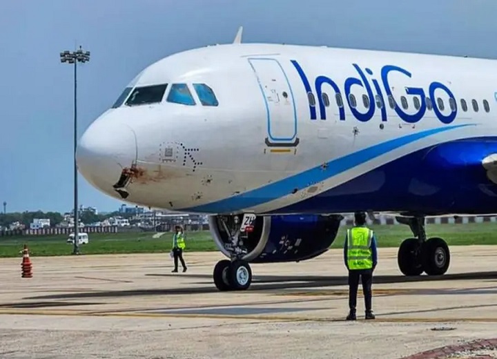 indigo crisis