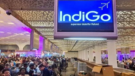 Indigo Crisis