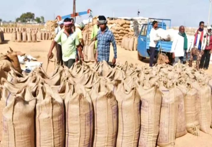 छत्तीसगढ़ में धान खरीदी का नया रिकॉर्ड