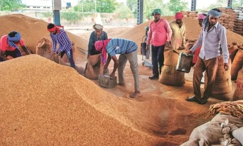 धान खरीदी