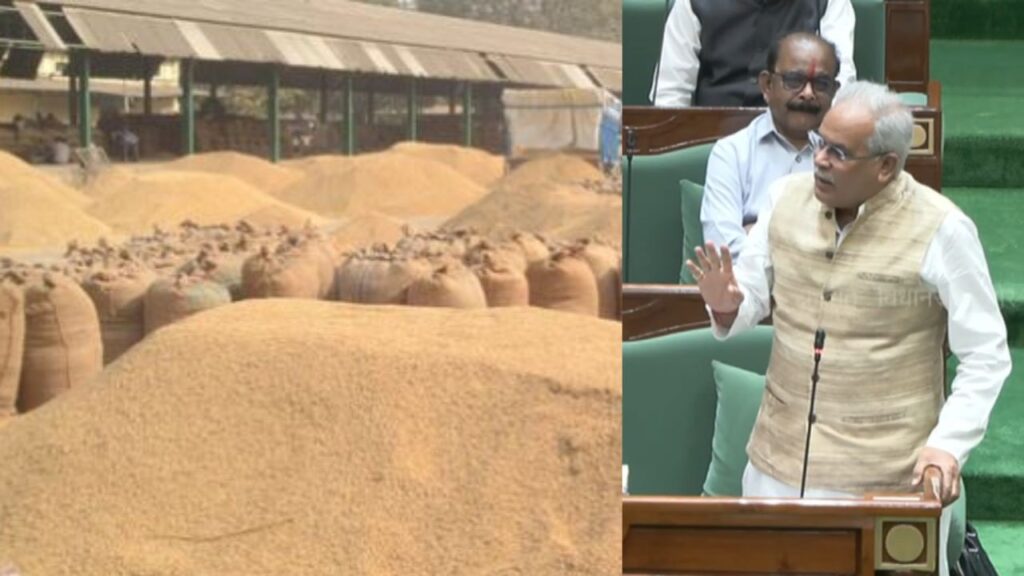 धान घोटाला