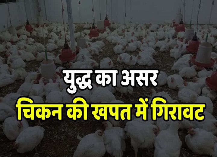 Chicken consumption drop