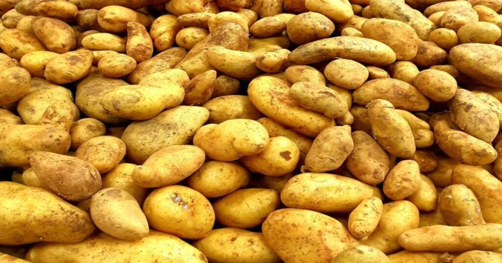 Aloo ke Daam