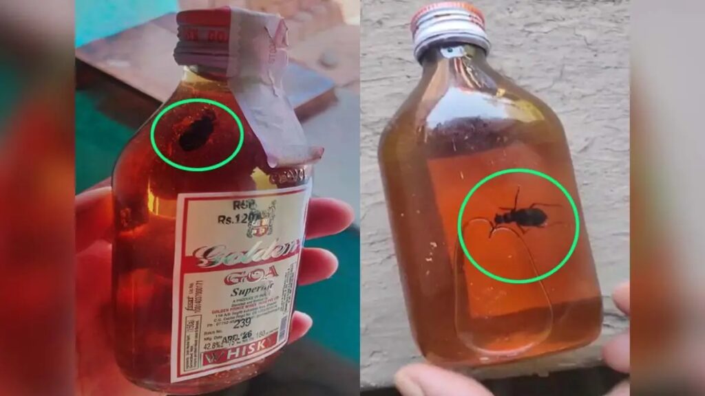 शराब