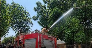 Narayanpur Parrot Rescue Controversy