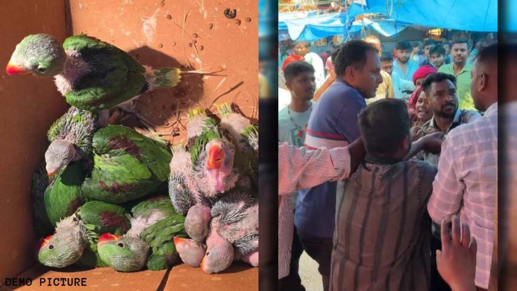 Jagdalpur Parrot Smuggling Case