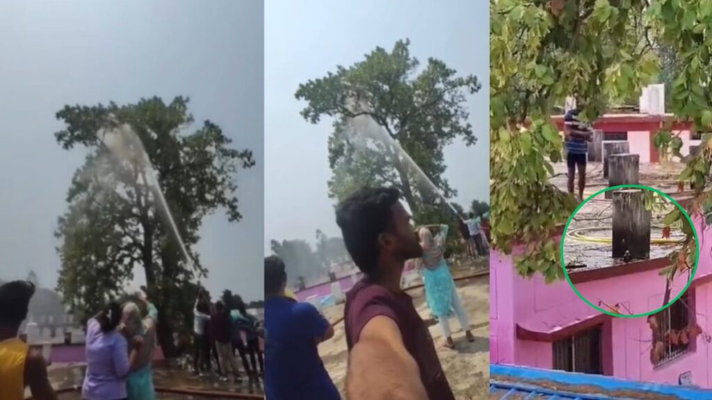 Narayanpur Parrot Rescue Controversy