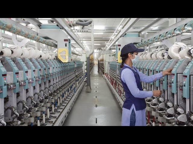 Trident Limited