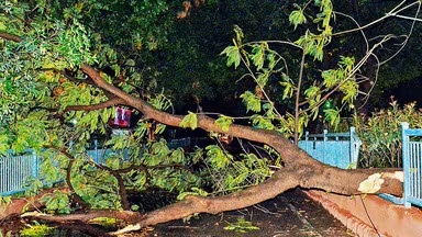 मौसम का कहर