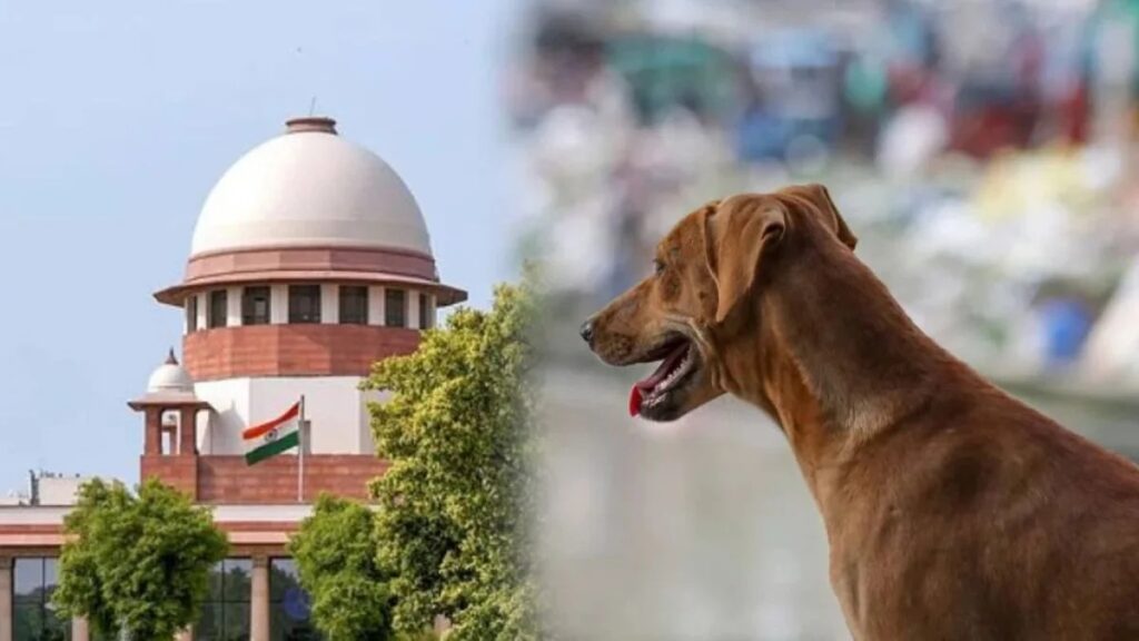 Supreme Court Stray Dogs Verdict