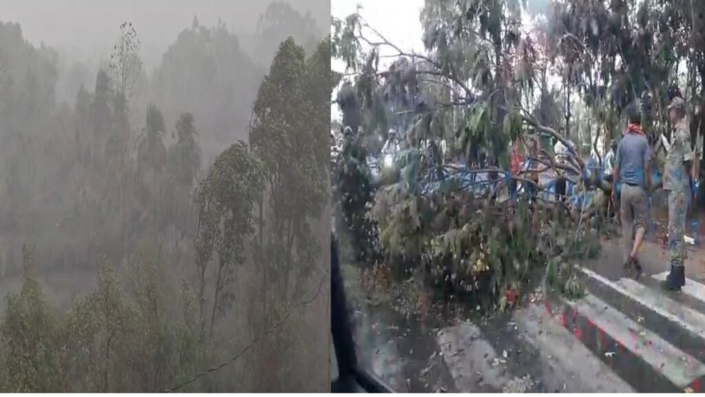 Chhattisgarh Weather News