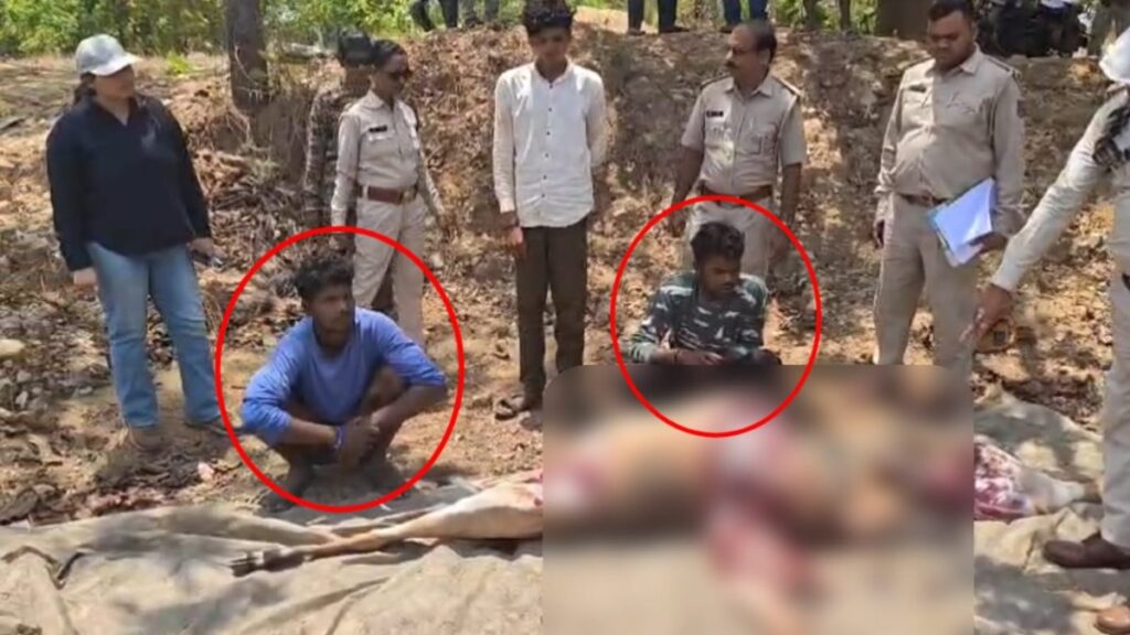 Mahasamund Nilgai Killing News