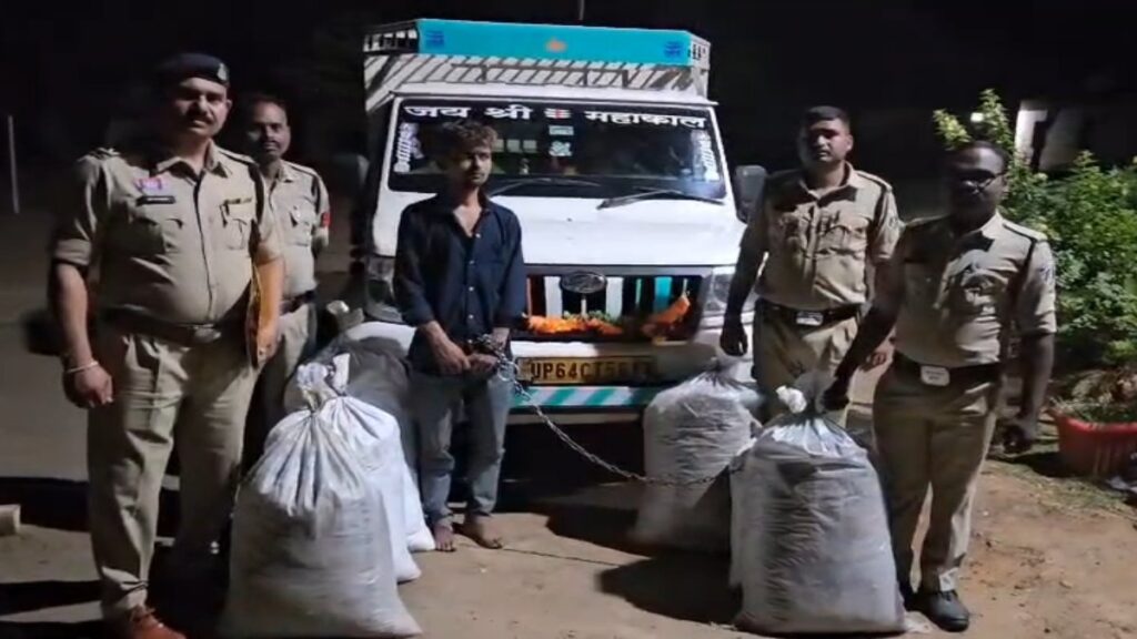 Gariaband Ganja Smuggling News