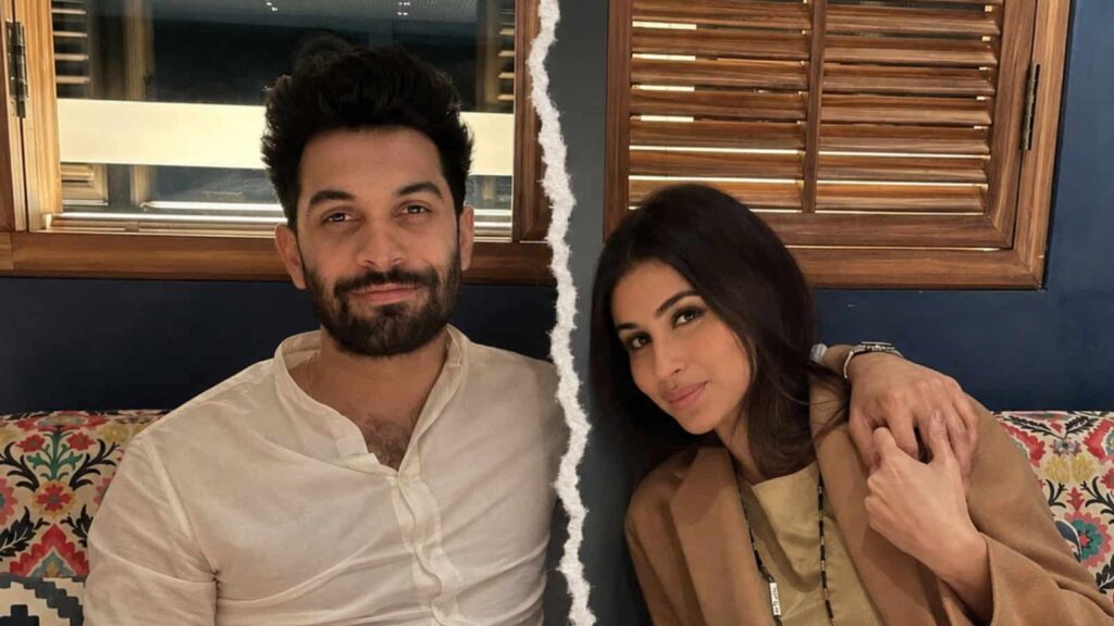 Mouni Roy Divorce