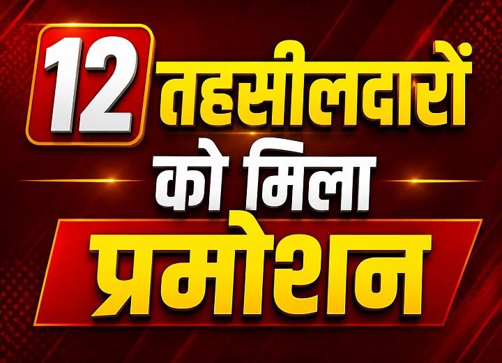 डिप्टी कलेक्टर