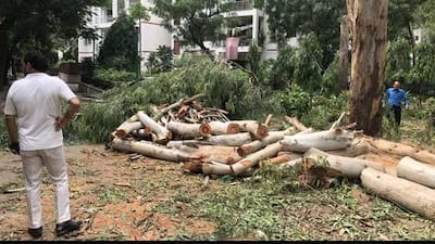 Forest Land Diversion