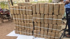 Dhamtari Ganja Seizure
