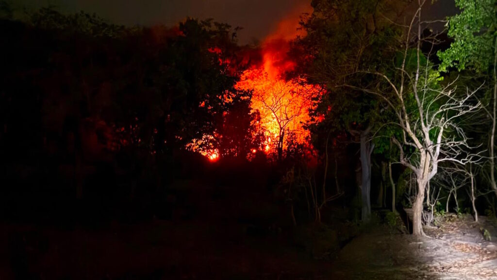Bhanupratappur Forest Fire