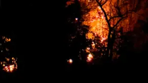 Bhanupratappur Forest Fire