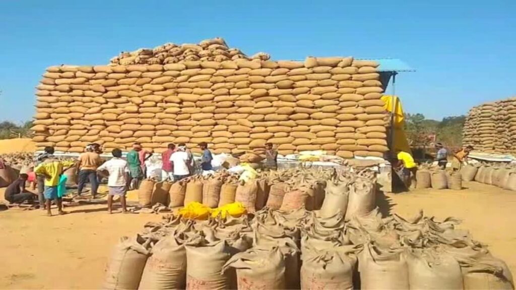 Chhattisgarh paddy procurement study