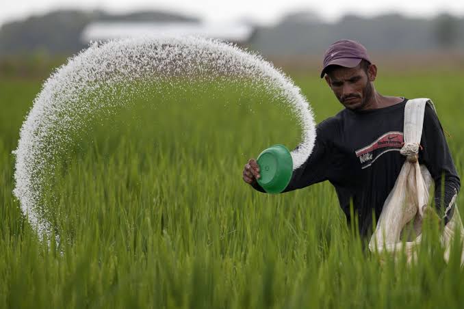 CG Fertilizer Distribution Online