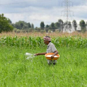 CG Fertilizer Distribution Online
