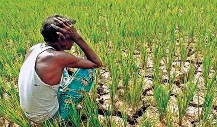 El Nino Effect in Chhattisgarh