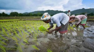 Good News For Farmers