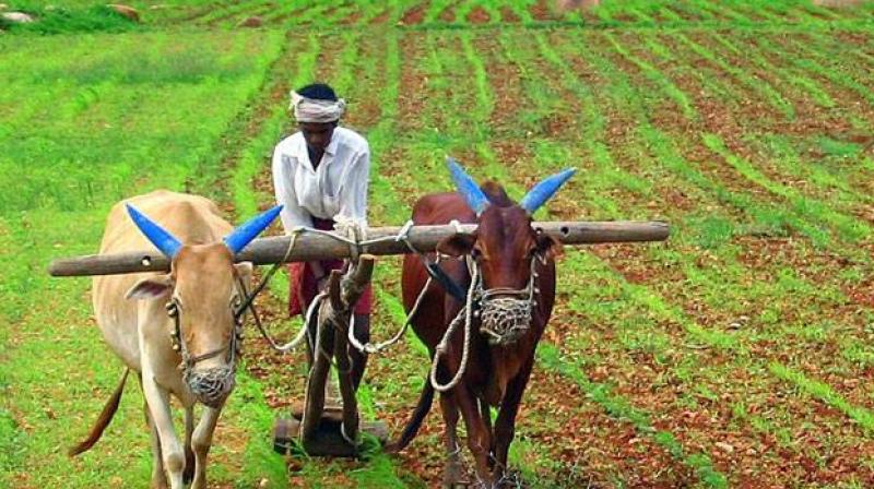 Farmers Good News