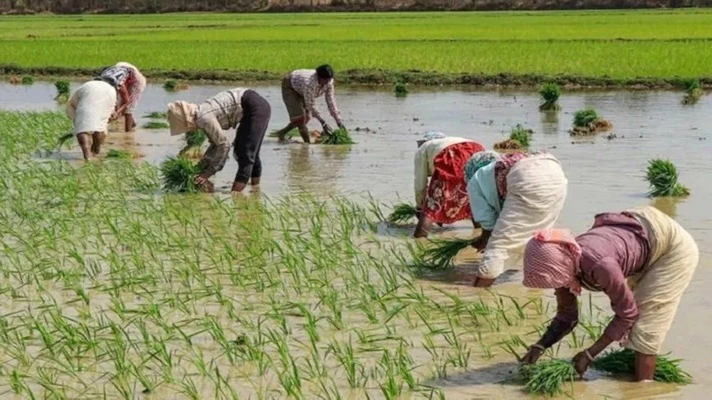 Good News For Farmers
