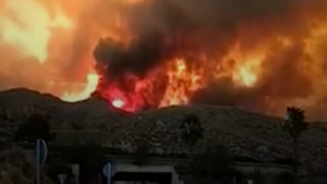 Spain wildfire Almeria 12 dead