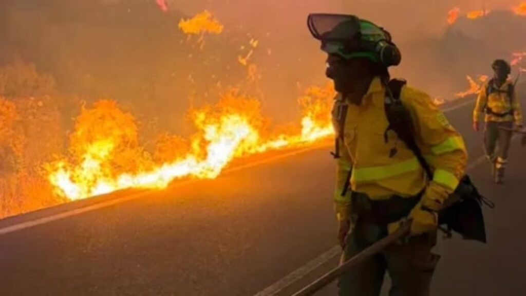 Spain wildfire Almeria 12 dead