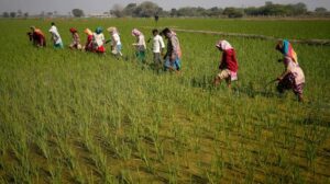 Farmers Good News