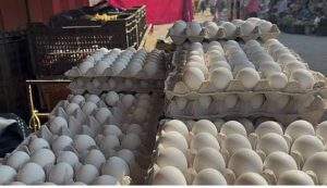 Egg Price Hike