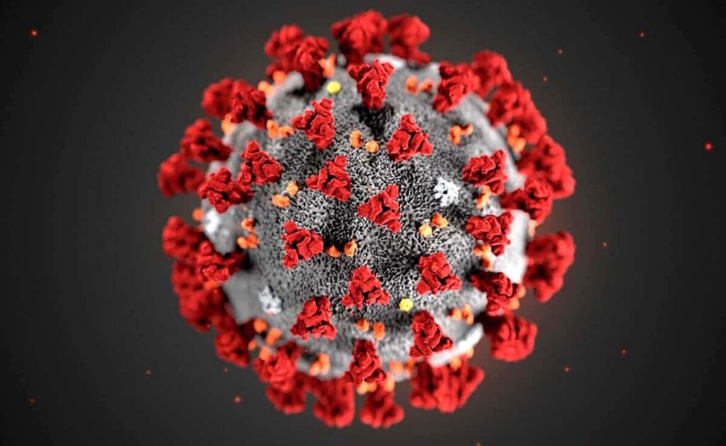 Corona Virus