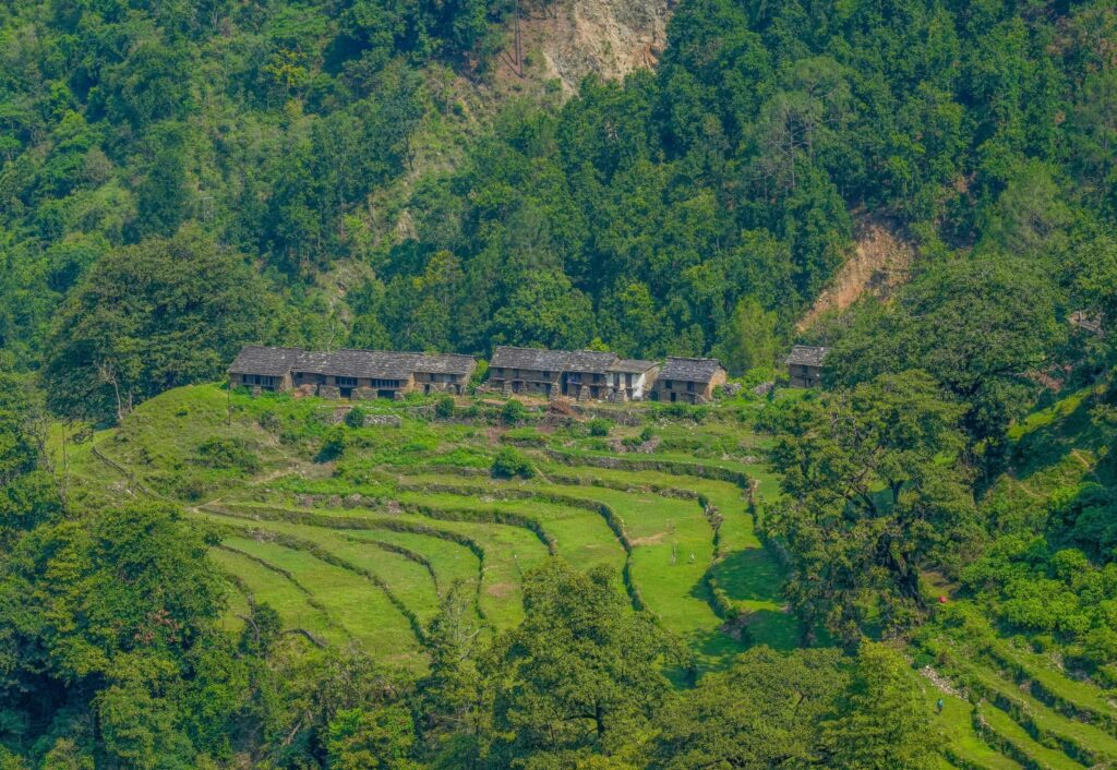 Great Green Wall