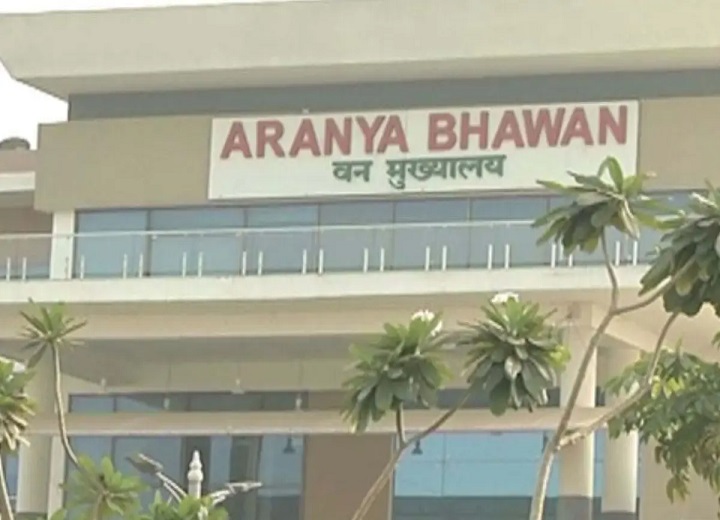 छत्तीसगढ़ वन विभाग