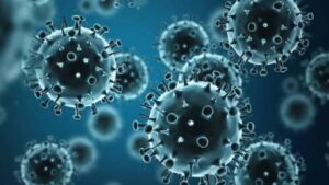 swine flue in durg
