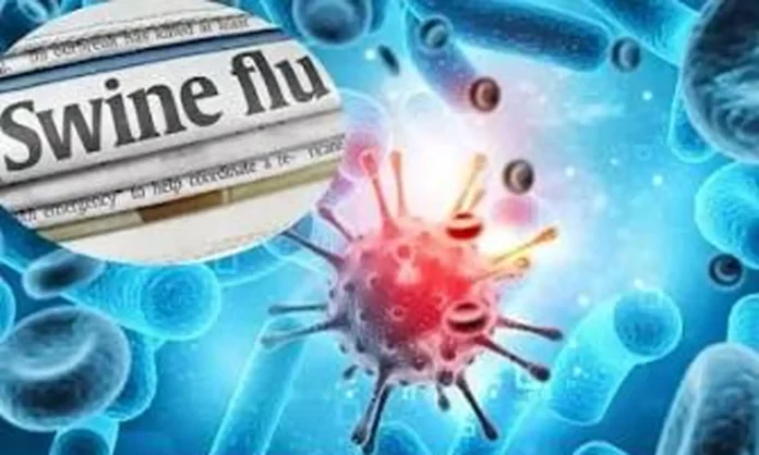 swine flue in durg