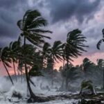 Cyclone Arnab: आंध्र प्रदेश के तट से टकराया खतरनाक चक्रवात ‘अर्नब’, 150 किमी की रफ्तार से चली हवाओं ने मचाई भारी तबाही; उड़ी घरों की छतें और बाढ़ जैसे हालात